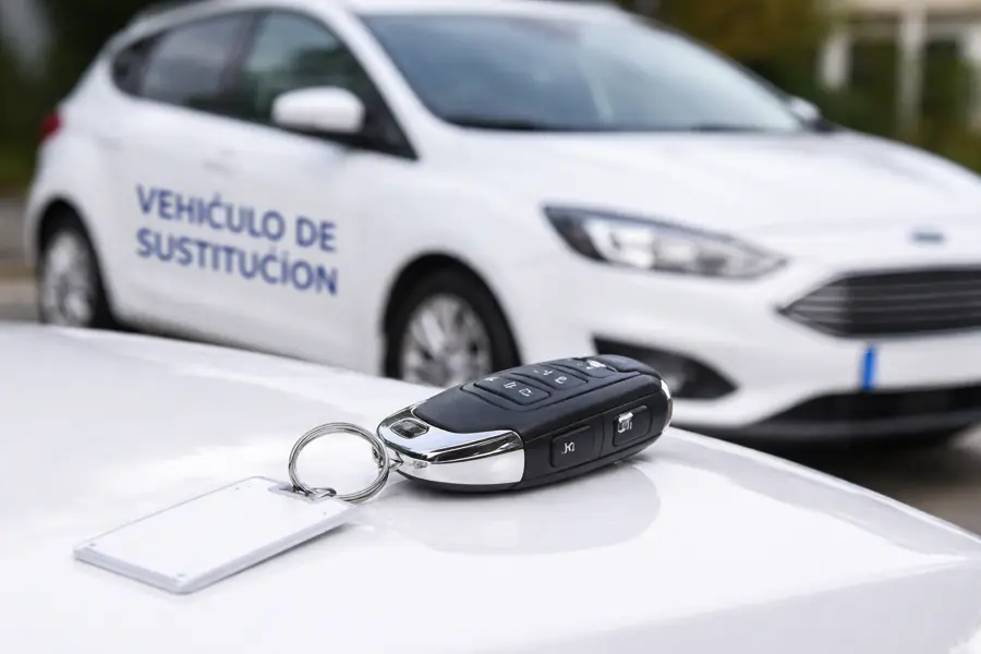 Divi-Image-Hover-Hero-Image-5